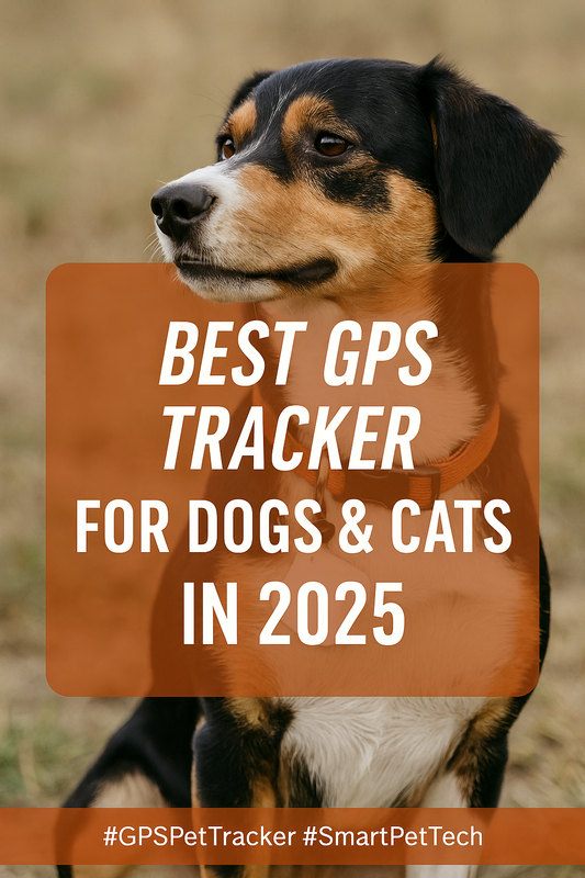 The Best GPS Tracker for Pets in 2025: Peace of Mind for Every Pet Parent