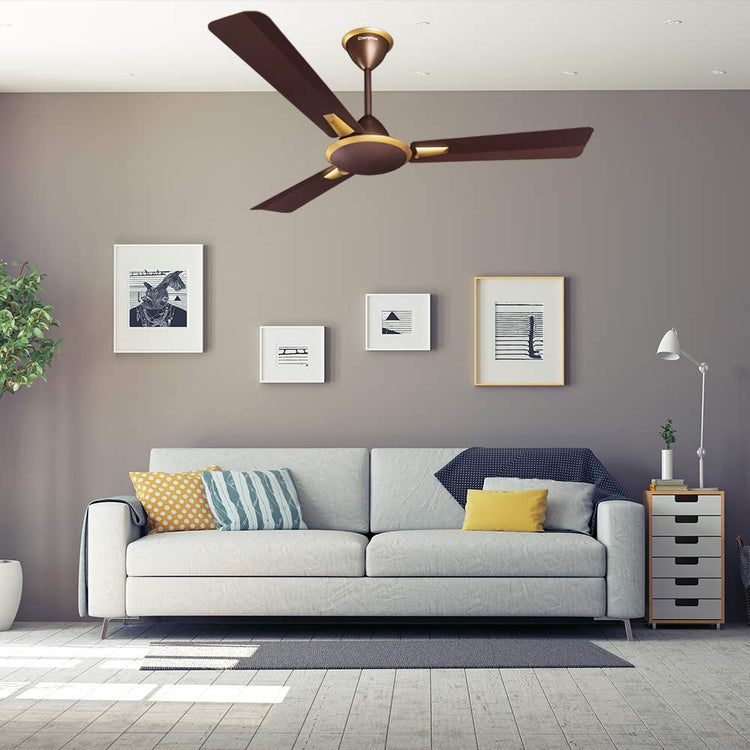 HOME ACCESSORIES