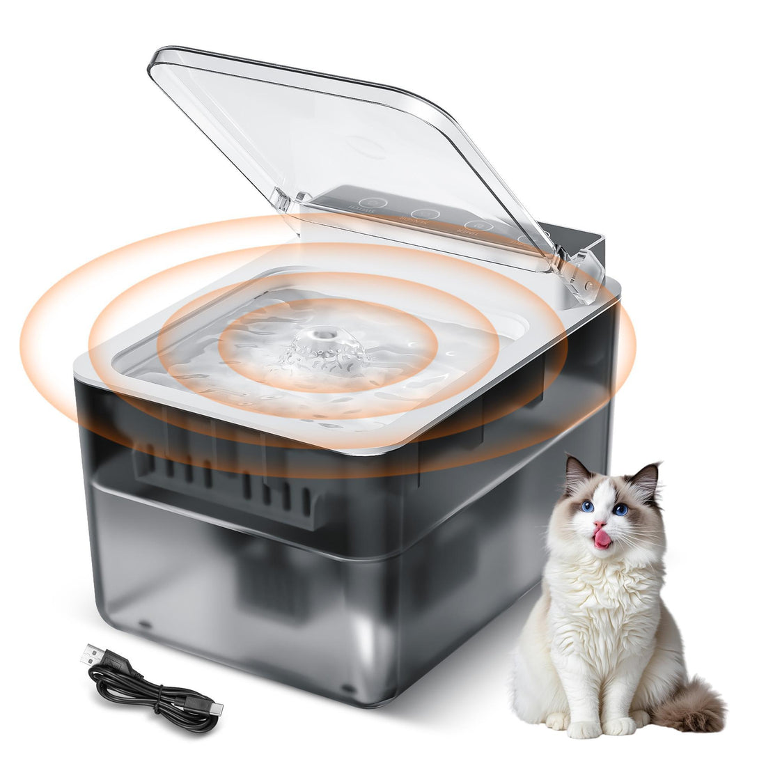Top 5 Vet Recommended Automatic Pet Feeders for Healthier Pets (2025 Guide)